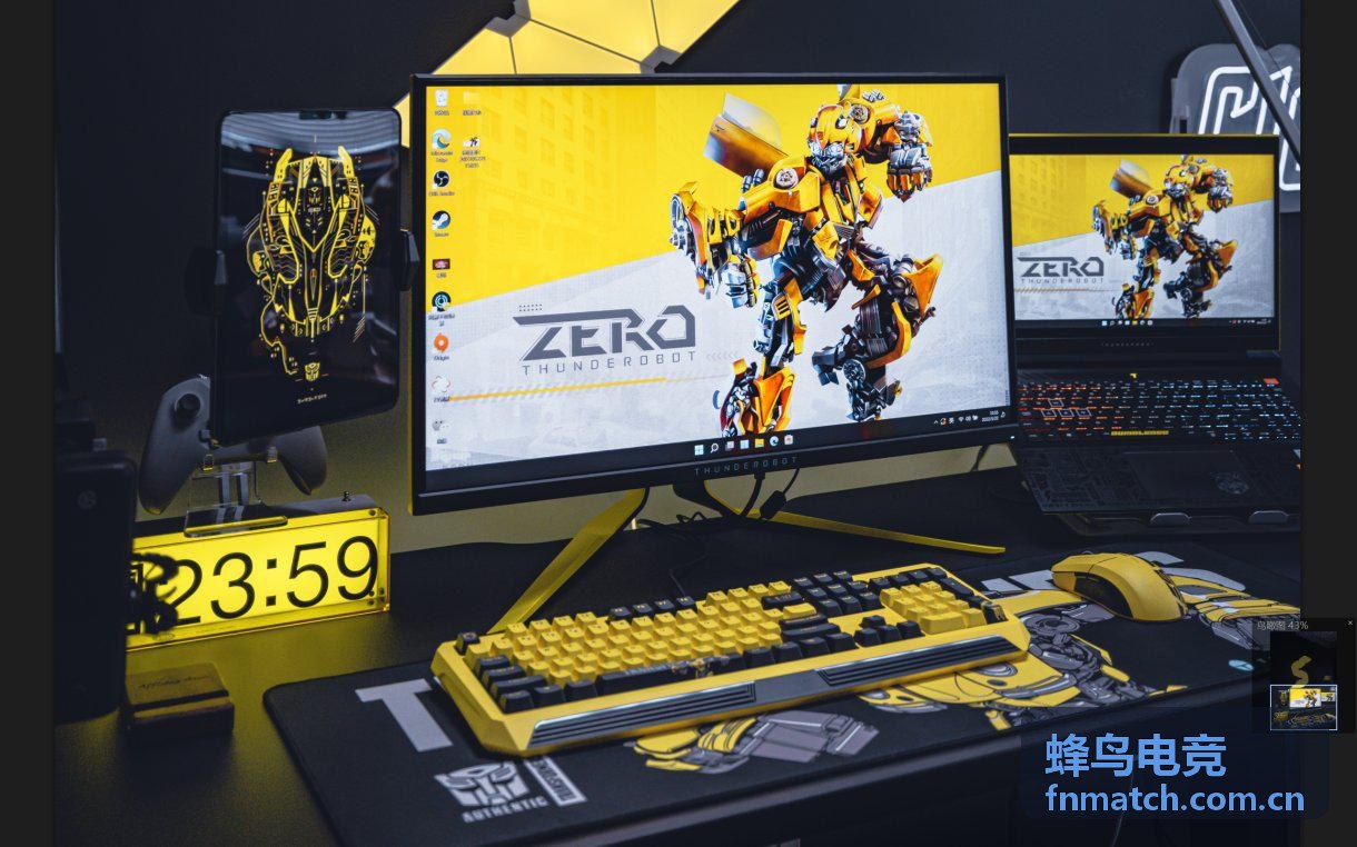 蜂鸟电竞观赛百科知识专区背景图